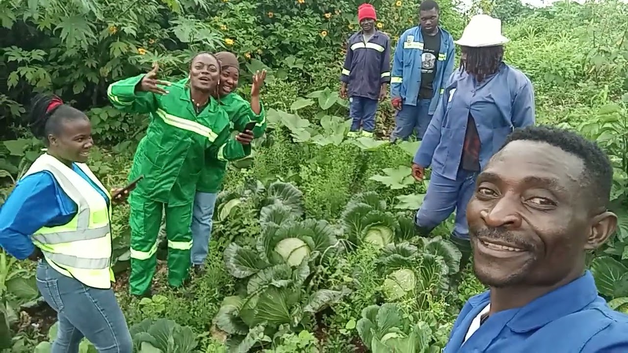 Best cabbage 