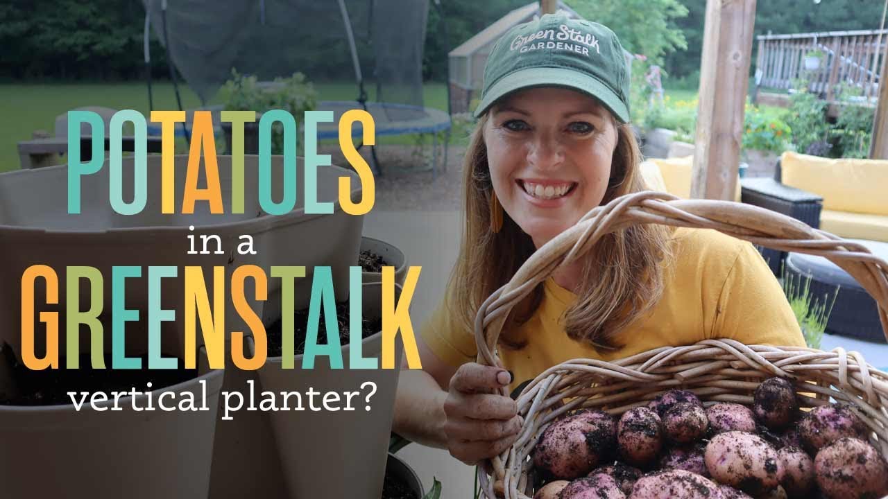 I Planted Potatoes in a Greenstalk Planter. Here's What Happened.