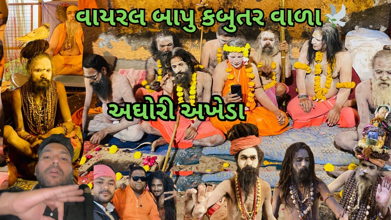 વાયરલ બાપુ કબુતર વાળા 🕊️ નાગા સાધુના અખેડા Maha Shivratri 2026 Samir balva |