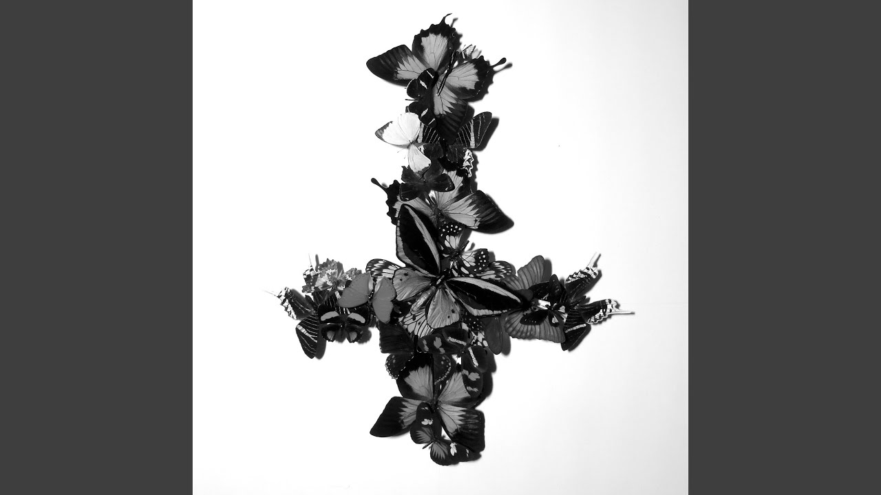 Diamant Noir