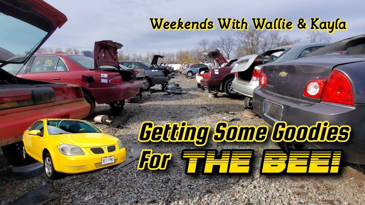 Getting Some Goodies For The Bee! - Weekends With Wallie & Kayla Ep. 102 - 11/27/21