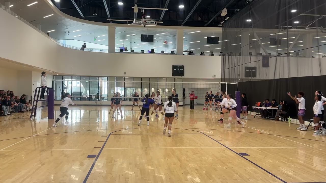 SFSU WVB vs. UC Santa Cruz - Mar 1, 2026