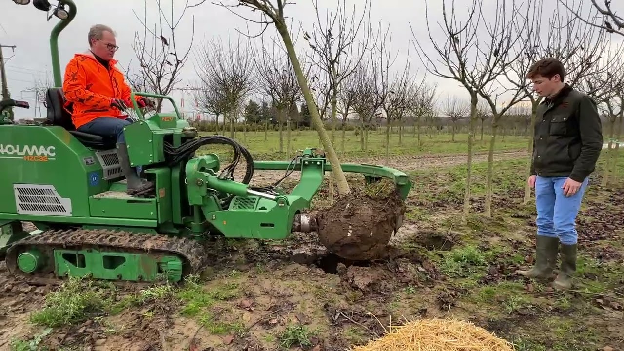 Arrachage d'un arbre avec l'arracheuse Holmac aux Pépinières Chatelain