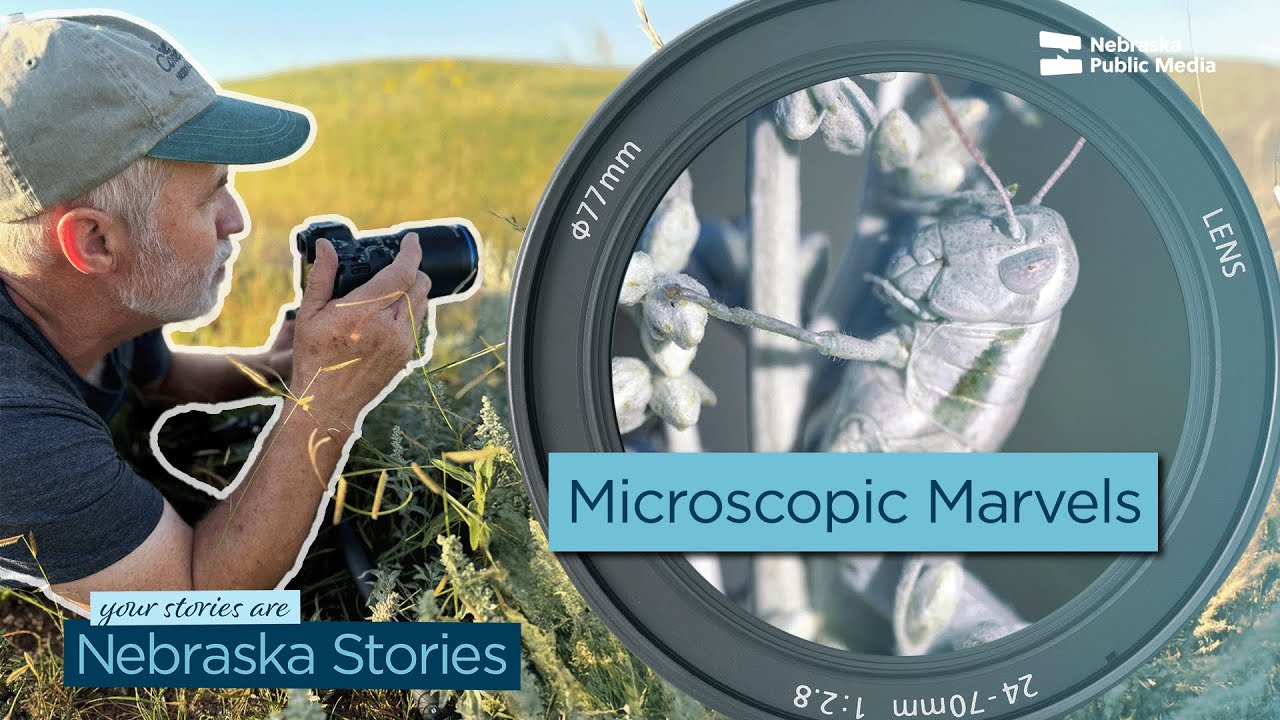 Can Photography Change How We See Conservation? | Nebraska Stories