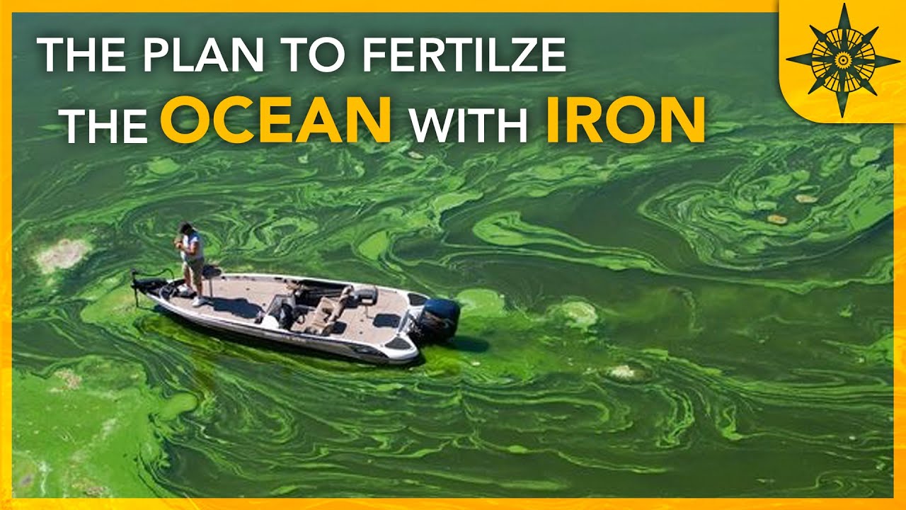 The Plan to Fertilize the Ocean With IRON