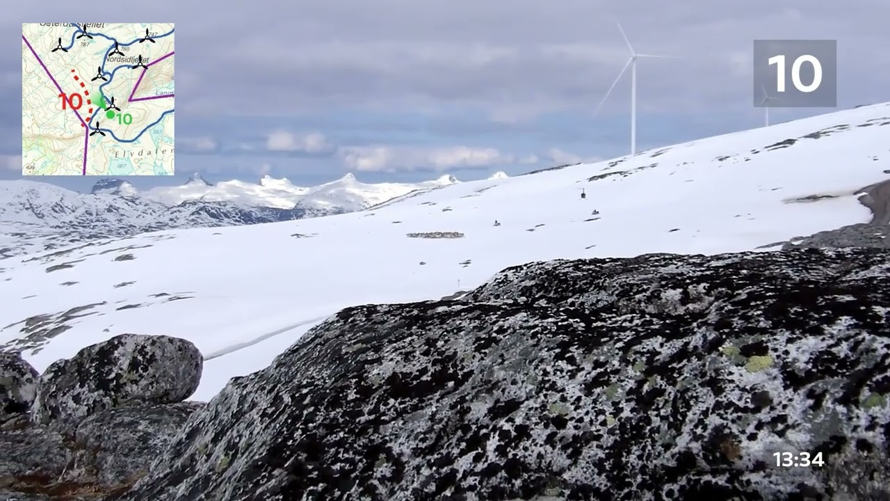 Flytting av rein i 2024