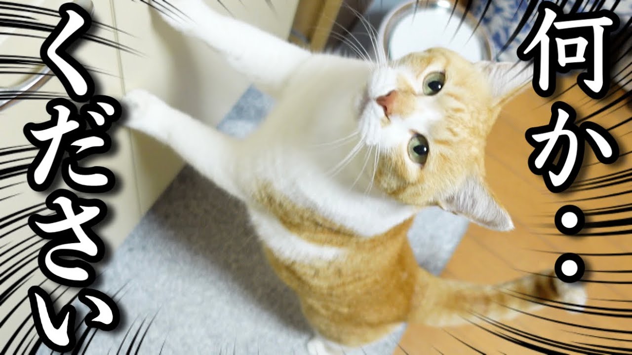 День святого Валентина: подарок для кого-то особенного