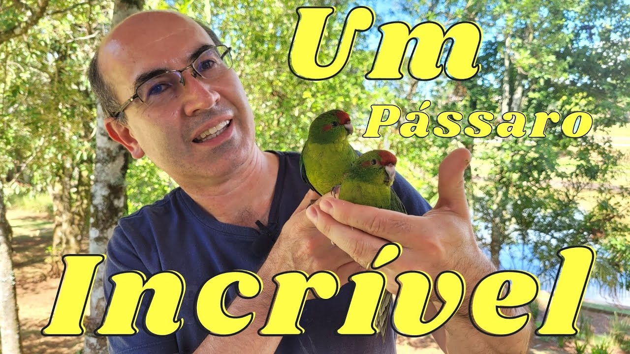 OS INCRÍVEIS KAKARIKIS!!!