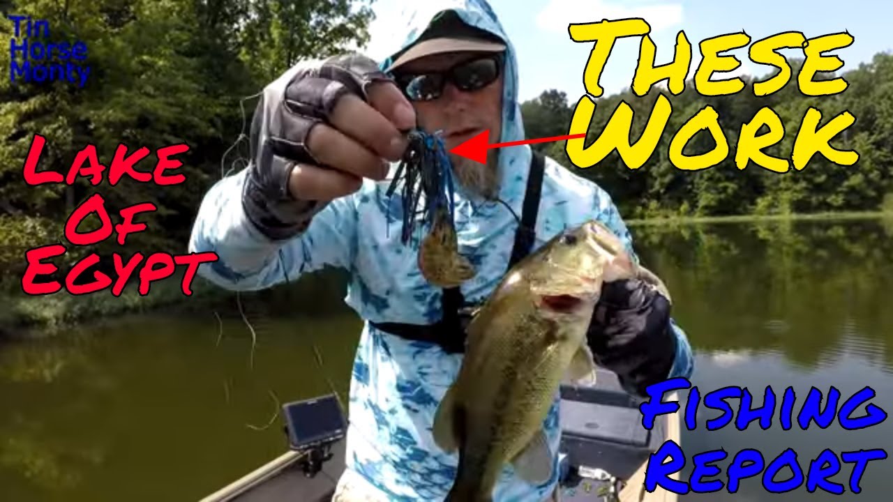 Lake of Egypt Late Summer Fishing Report (SWIM JIGS)