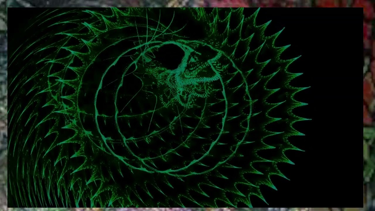 Spiral Vibe, Ysgrah live on FL