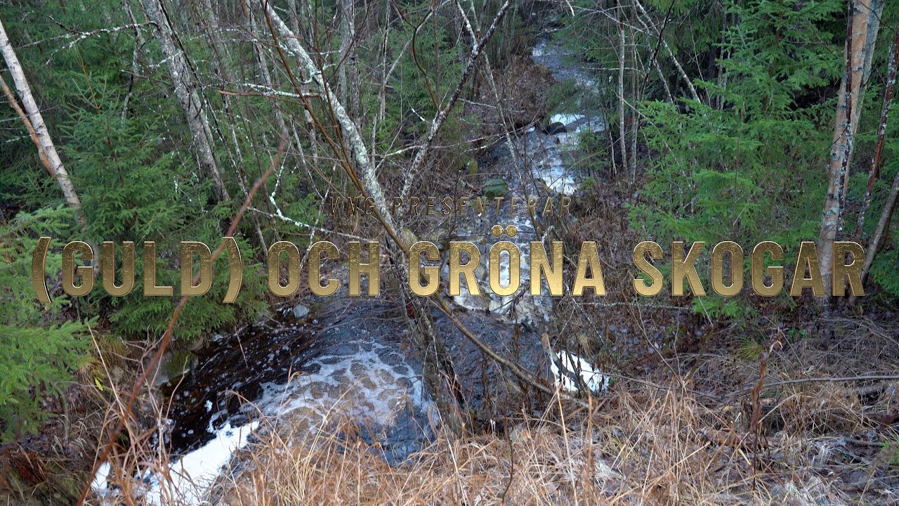 Guld och Gröna Skogar