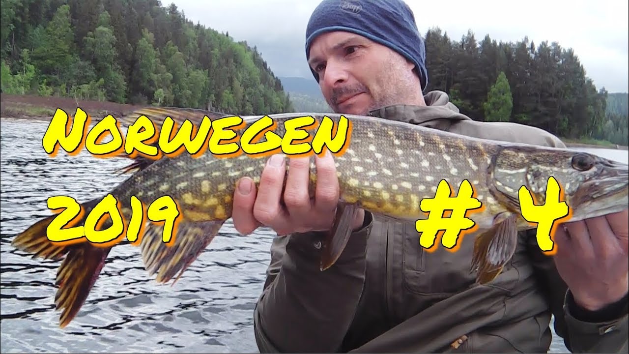 Auf Barsch und Hecht im Regen | Barsch häuten | Martoms Abenteuer | Norge 2019 (Teil 4/11)