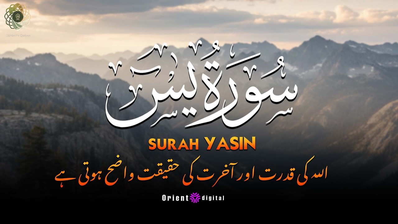 Surah Yaseen | Urdu & Hindi Translation | Tilawat by Abdullah Al-Sayed | Serenity Quran