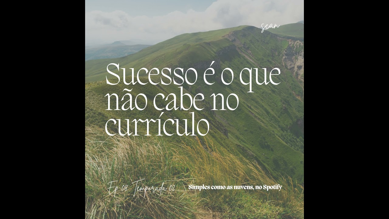 29. Sucesso é o que não cabe no currículo