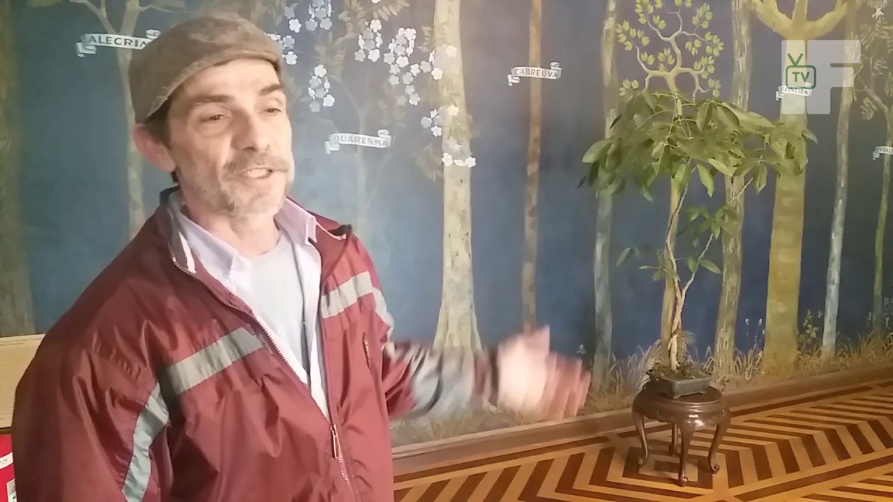 Conhe&ccedil;a o Museu Florestal Oct&aacute;vio Vecchi em S&atilde;o Paulo