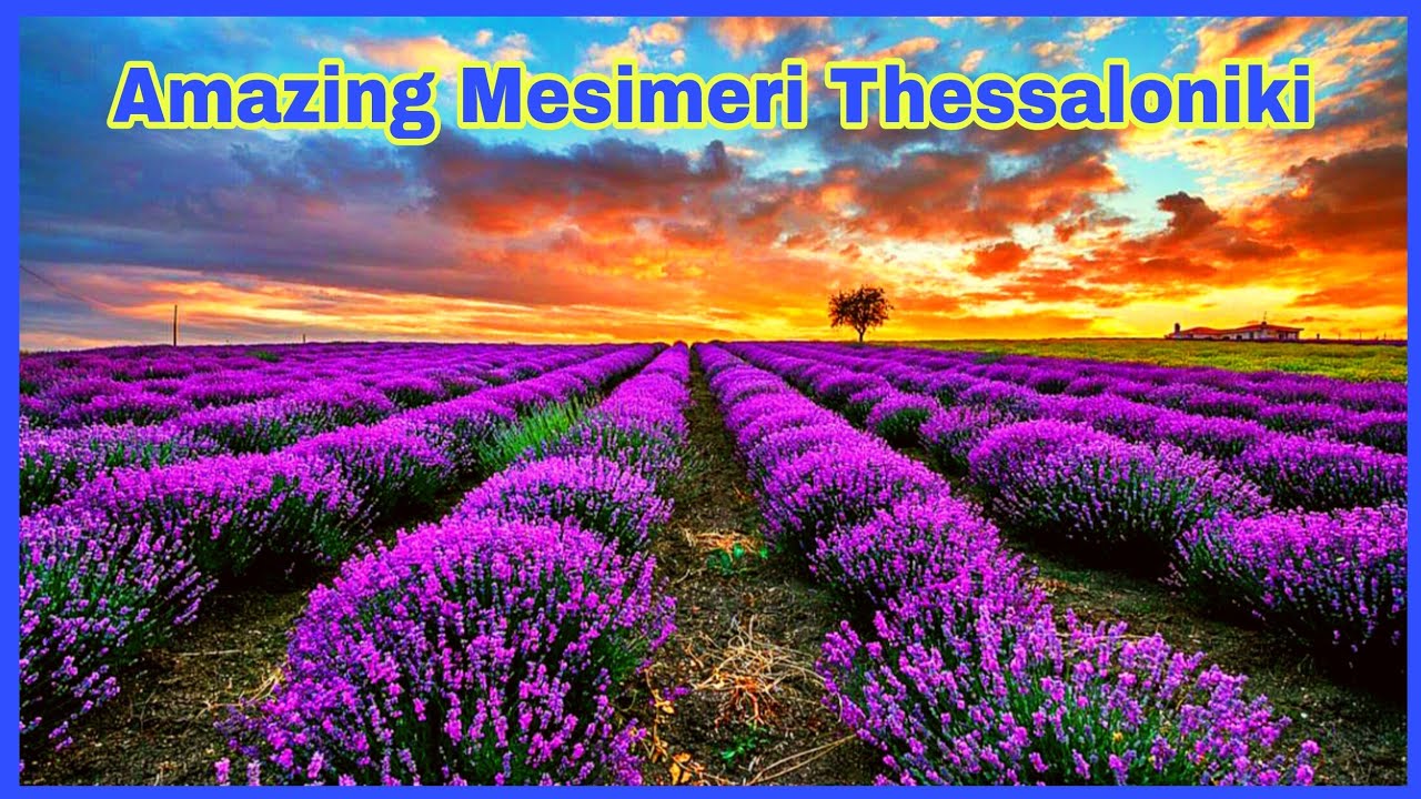 Mesimeri, Thessaloniki @buhayayganyan