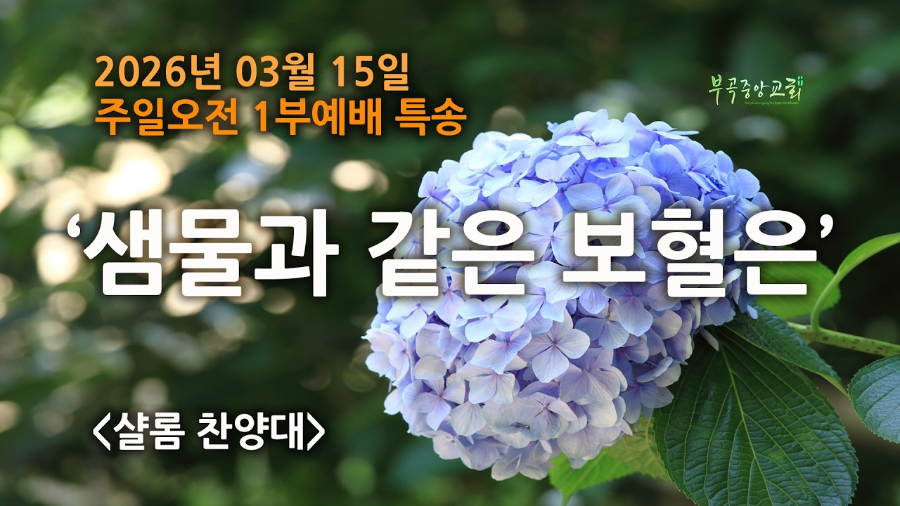 샬롬찬양대 특송 (2026-03-15)