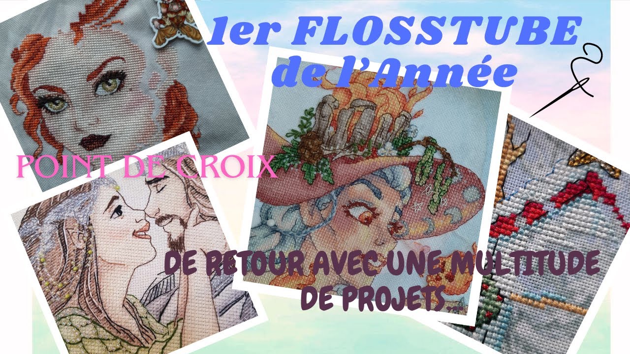1er Flosstube de l'année ! #pointdecroix #flosstube #crossstitch #broderie