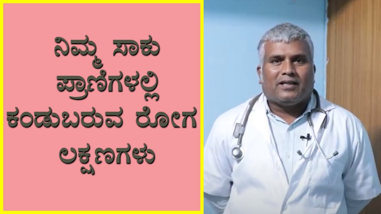 Common animal disease symptoms | Vijay Karnataka