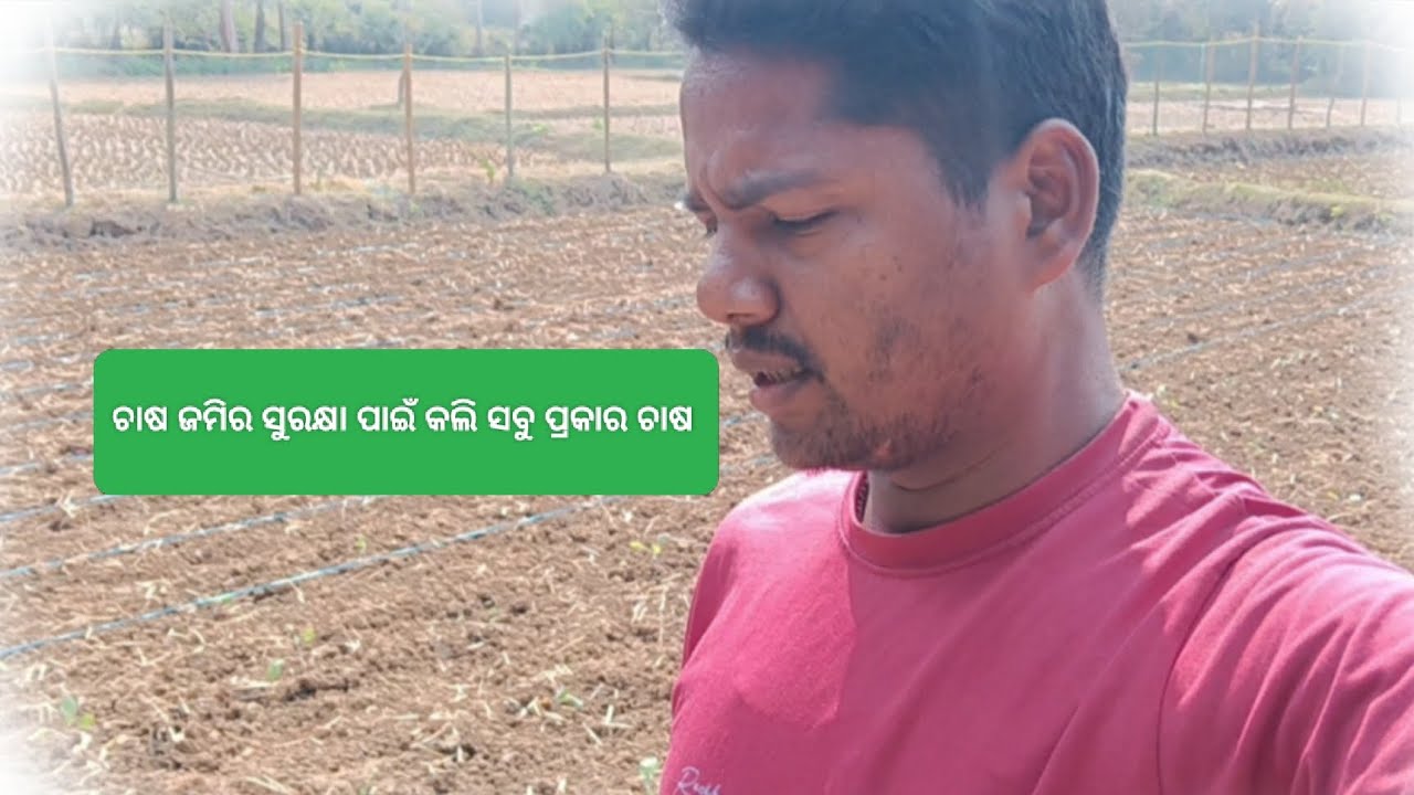 ଚାଷ ଜମିର ସୁରକ୍ଷା ପାଇଁ କଲି ସବୁ ପ୍ରକାର ଚାଷ Mumbai chef 