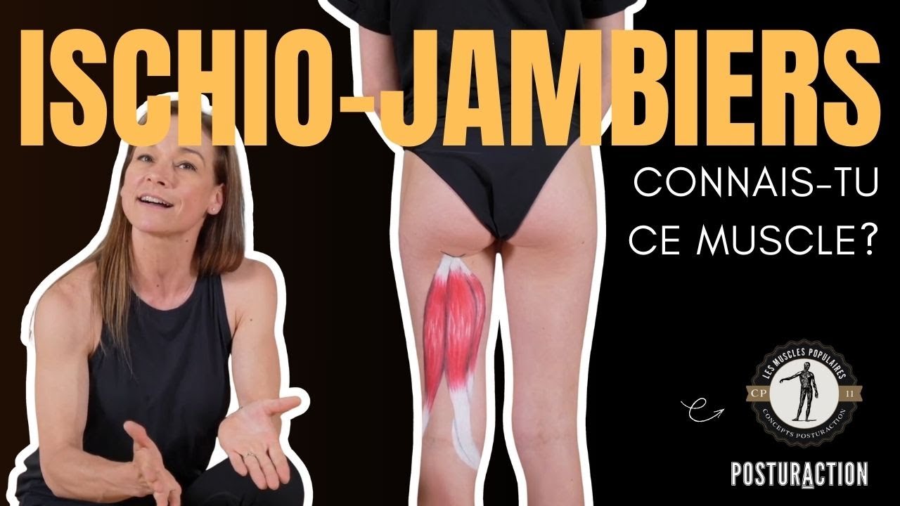🦵 Ischio‑jambiers : anatomie, renforcement, étirements & massage