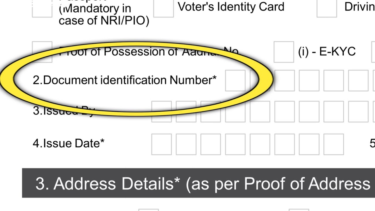 What is a document identification number | document identification number