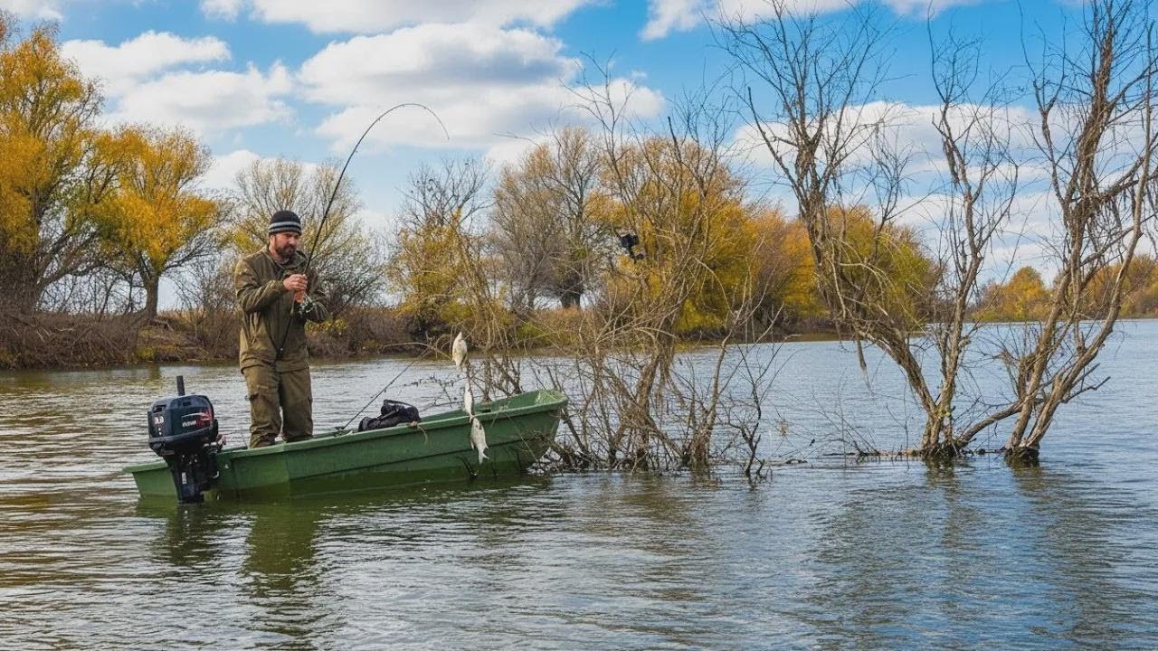 ¡Este lugar está lleno de peces y troncos! Pesca vertical que emociona