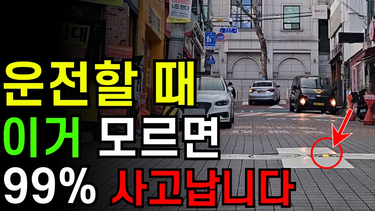 이것만 알면 절대 사고 안납니다! 운전자 99%가 모르는 표지판의 의미 / 운전 꿀팁 / 차선 보는 방법 / 초보운전