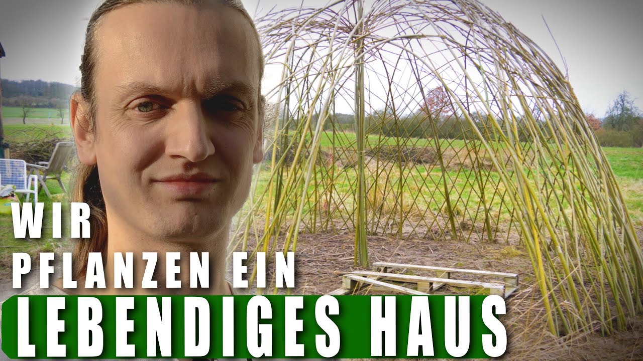 Wir PFLANZEN ein lebendiges WEIDEN-HAUS | Naturbauten der Neuen Erde