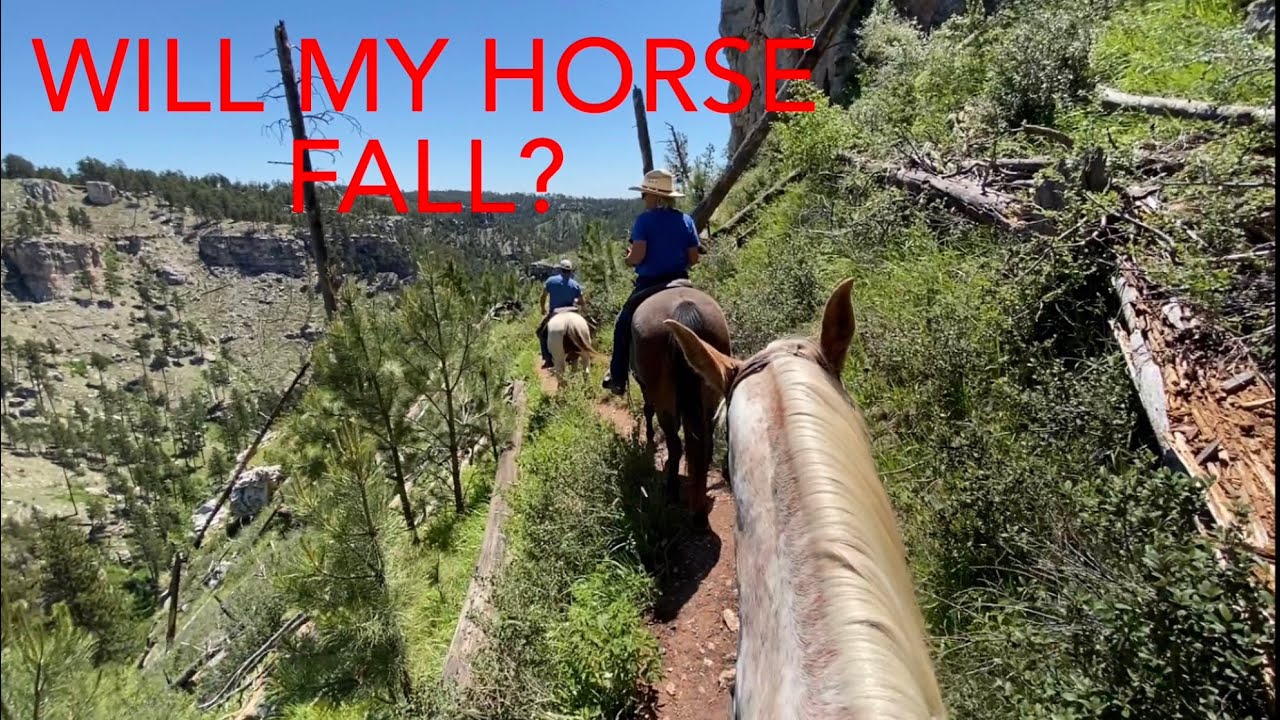 Ride Hell Canyon, Блэк-Хиллз, Южная Дакота, июнь 2022 г.