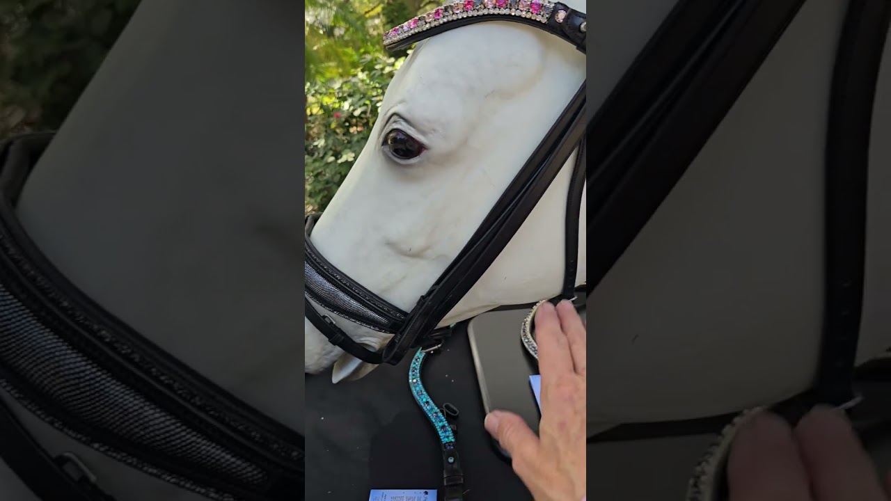 EctoPro 1 Bridle components introduction