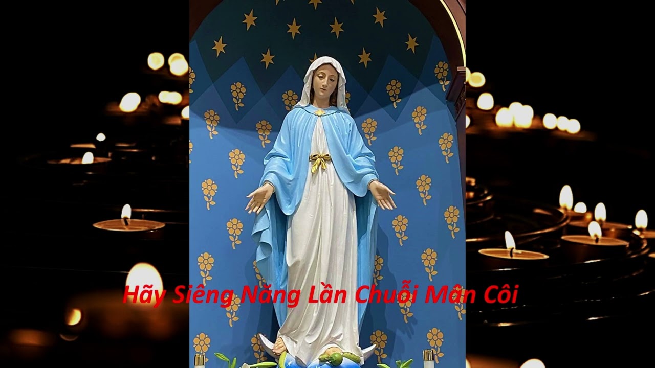 Kinh Mân Côi Hằng Ngày Và Suy Niệm - Thứ Năm 12-3-2026