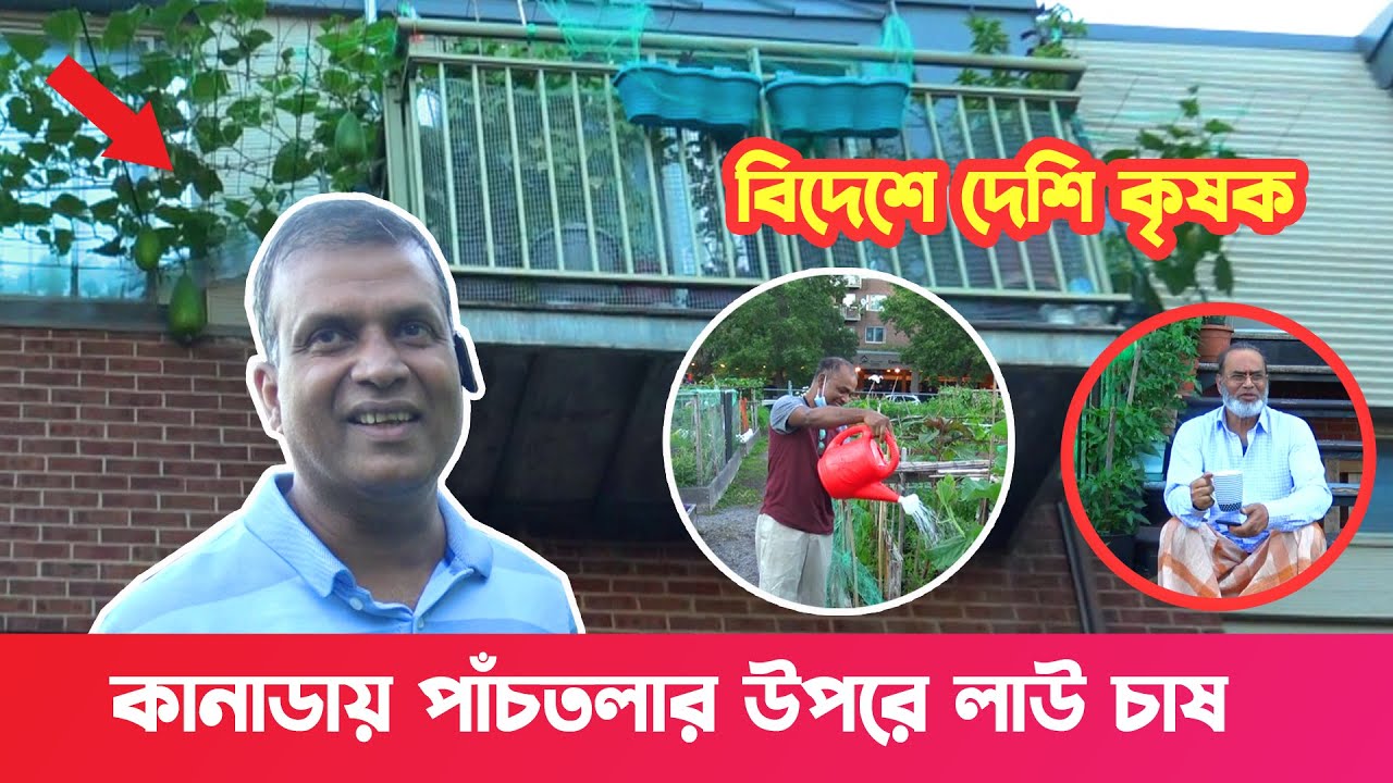 কানাডায় বাংলাদেশির সবজি চাষ || বরিশালের নাসির খানের অবাক কান্ড