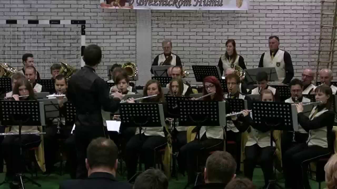 Lepo je biti muzikant