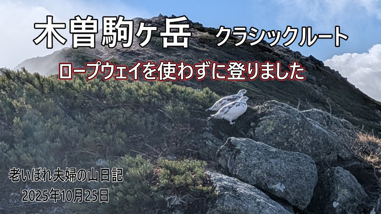 冬の衣装に衣替えしたライチョウに励まされ木曽駒ヶ岳クラシックルートをワンディ登山　2025年10月25日