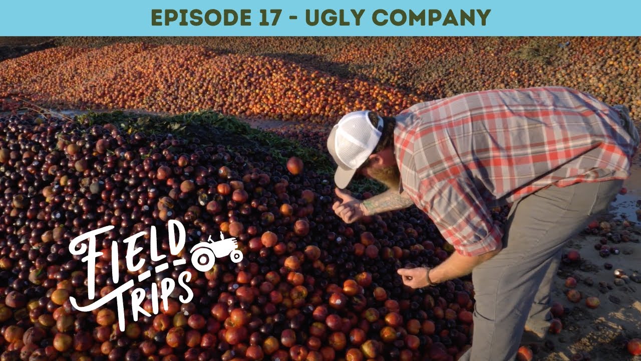 Millions of Pounds of WASTED FRUIT! | Field Trips