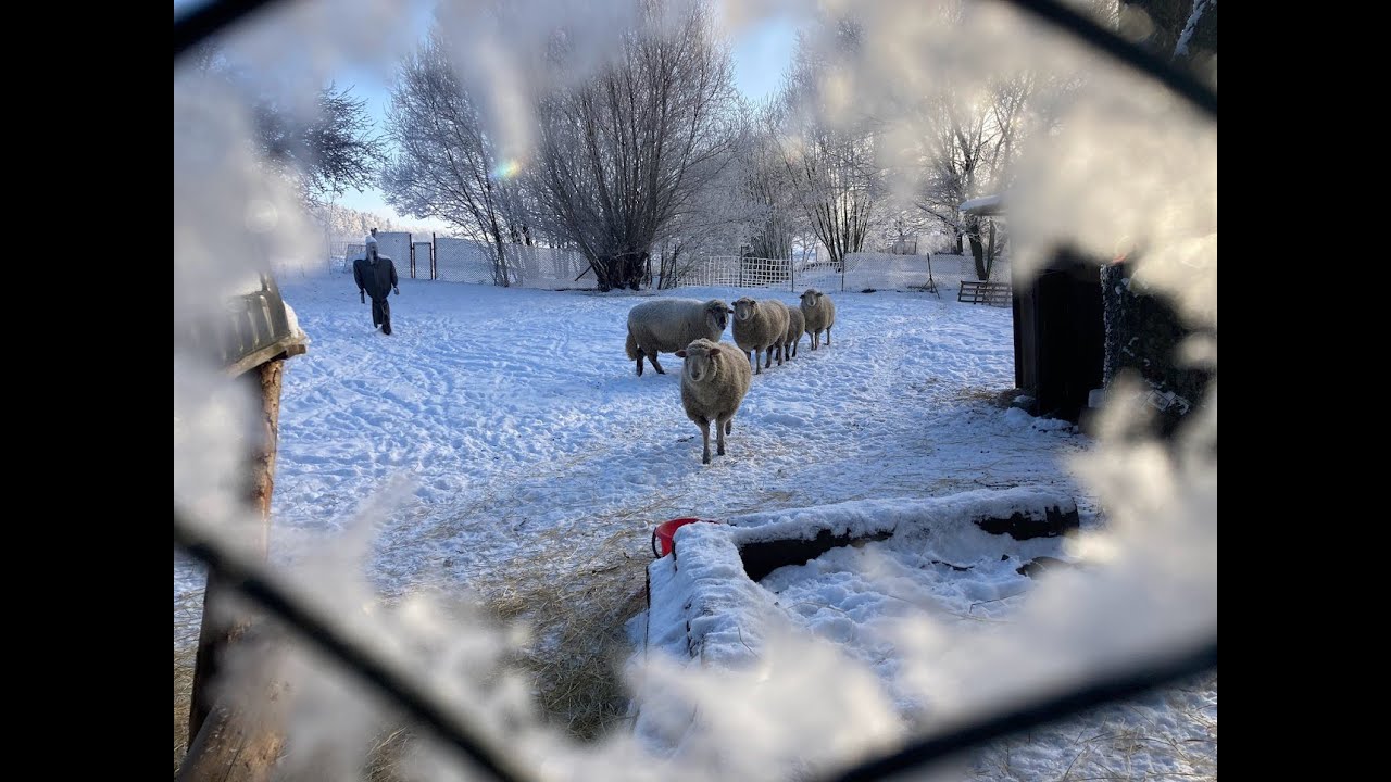 ❄️🐾 Nedělní pohádka z Farmy Kapsa – č. 8 🐾❄️Zimní spánek