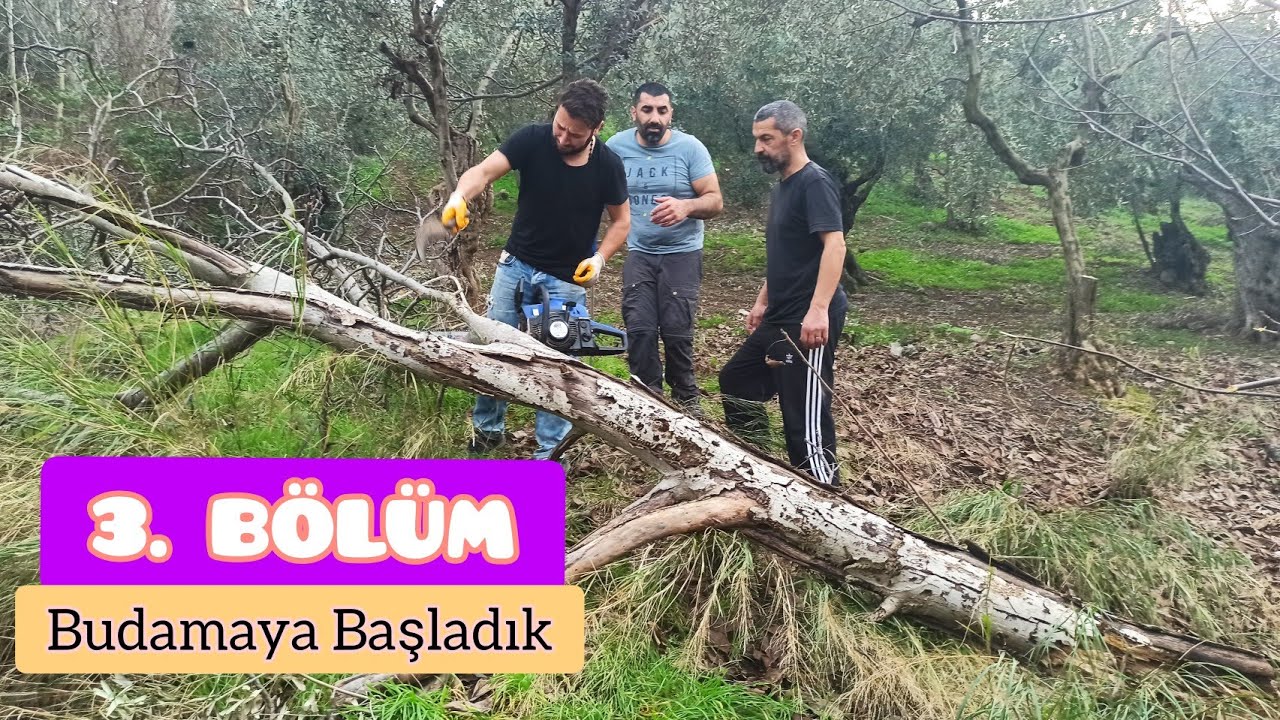 Bağ Evi Hikayesi 3 - Budama Yapmaya Başladık..