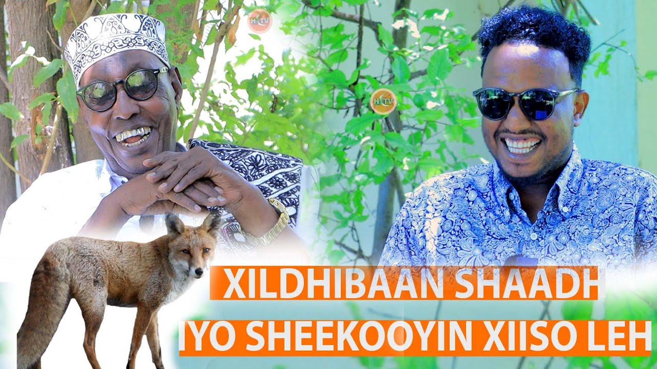 “Anigoo Shaadh iyo Surwaal xidhan ayaan ka baxay guriga anigoo garbo saar xidhana …”Xil Shaadh