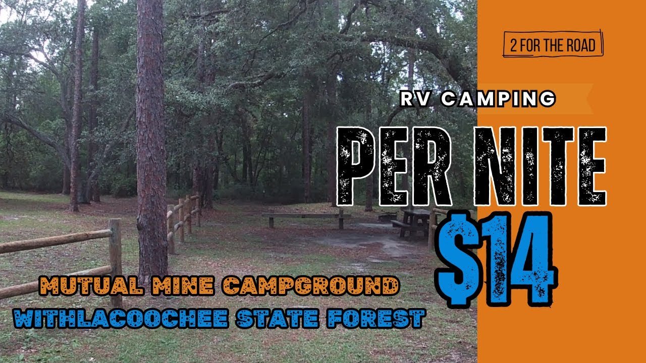 Cheap and Amazing For $14 Bucs Per Nite Mutual Mine Campground in Withlacoochee State Forest Florida