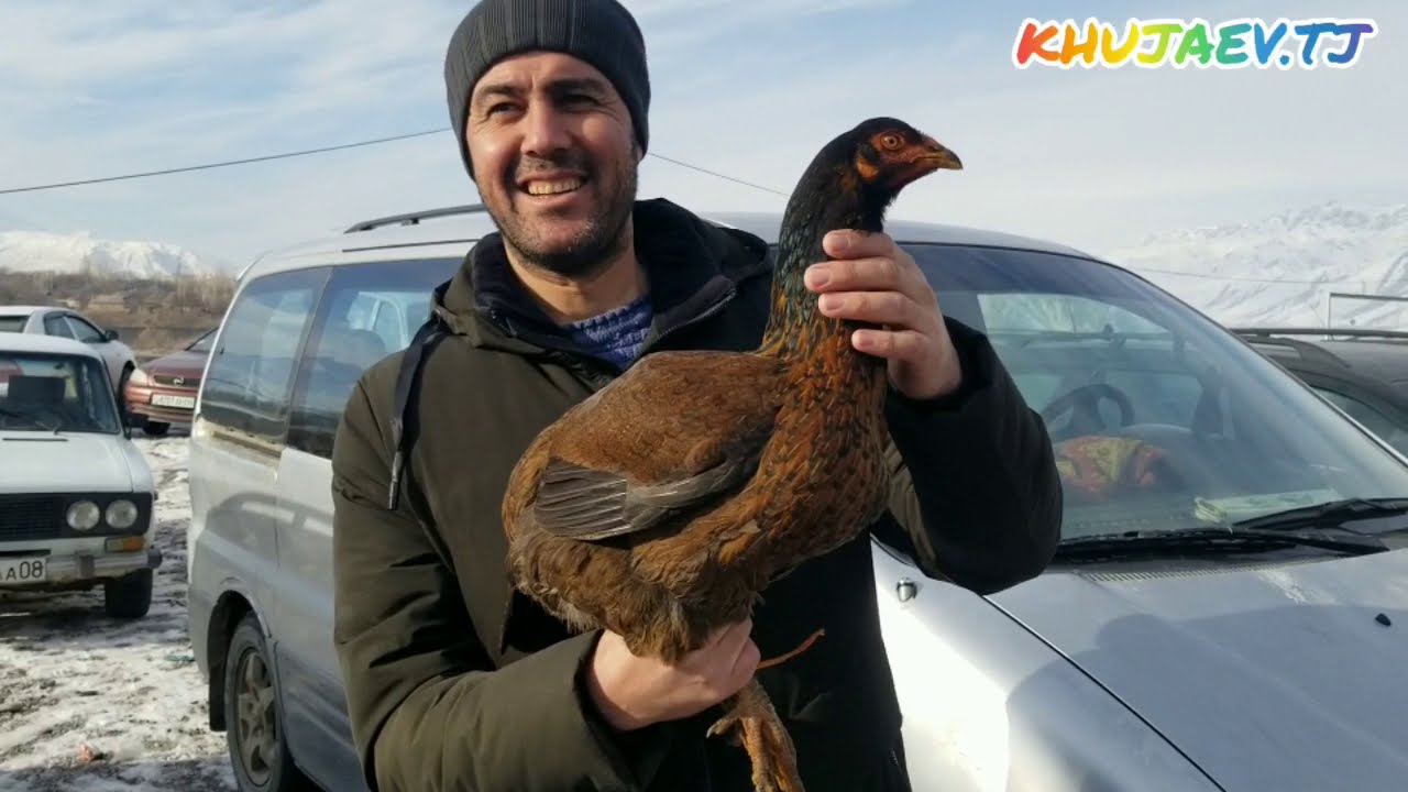 Бозор дар сари пули Сайрон. н. Лахш (Панҷшанбебозор).(Ҷергатол).