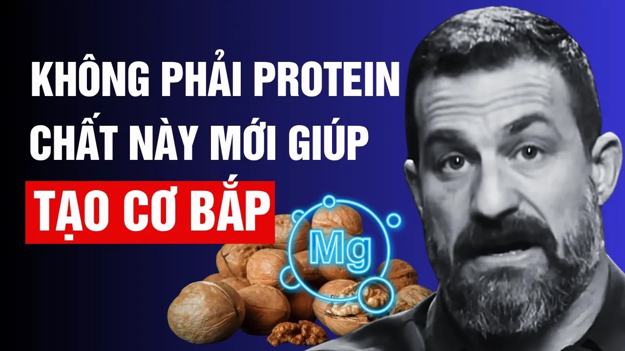 Không Phải Là Protein! Chất này mới giúp xây dựng và phục hồi Cơ bắp sau tuổi 50!