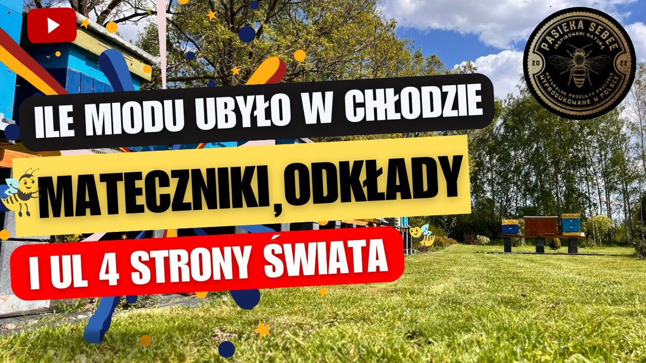 Ile miodu ubyło w chłodne dni? Odkłady, Mateczniki i Ul  4 strony Świata