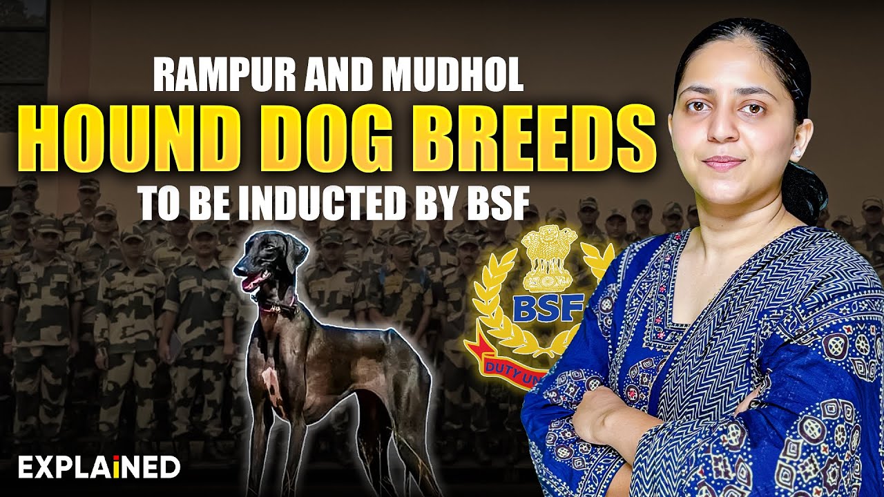Why Dogs are useful in Military | Rampur and Mudhol Hound Dogs - Explained #upsc