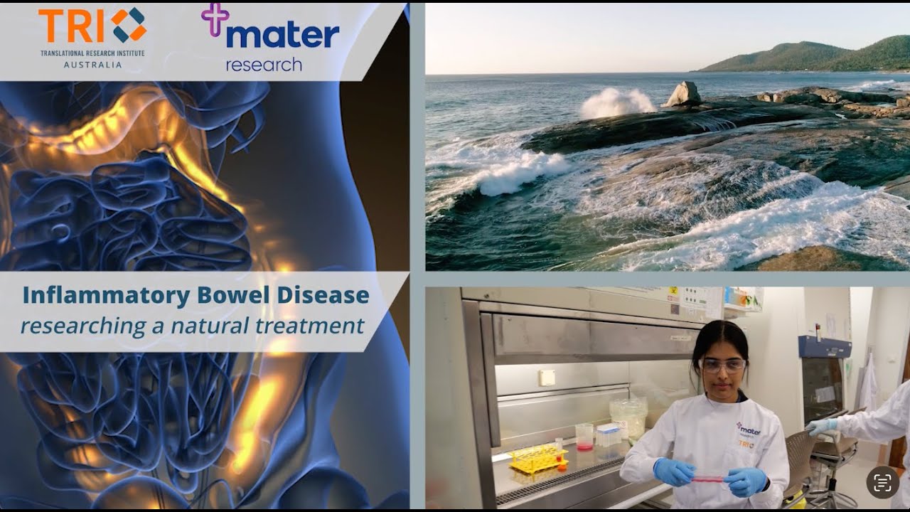 Abalone may unlock new treatment for Inflammatory Bowel Disease