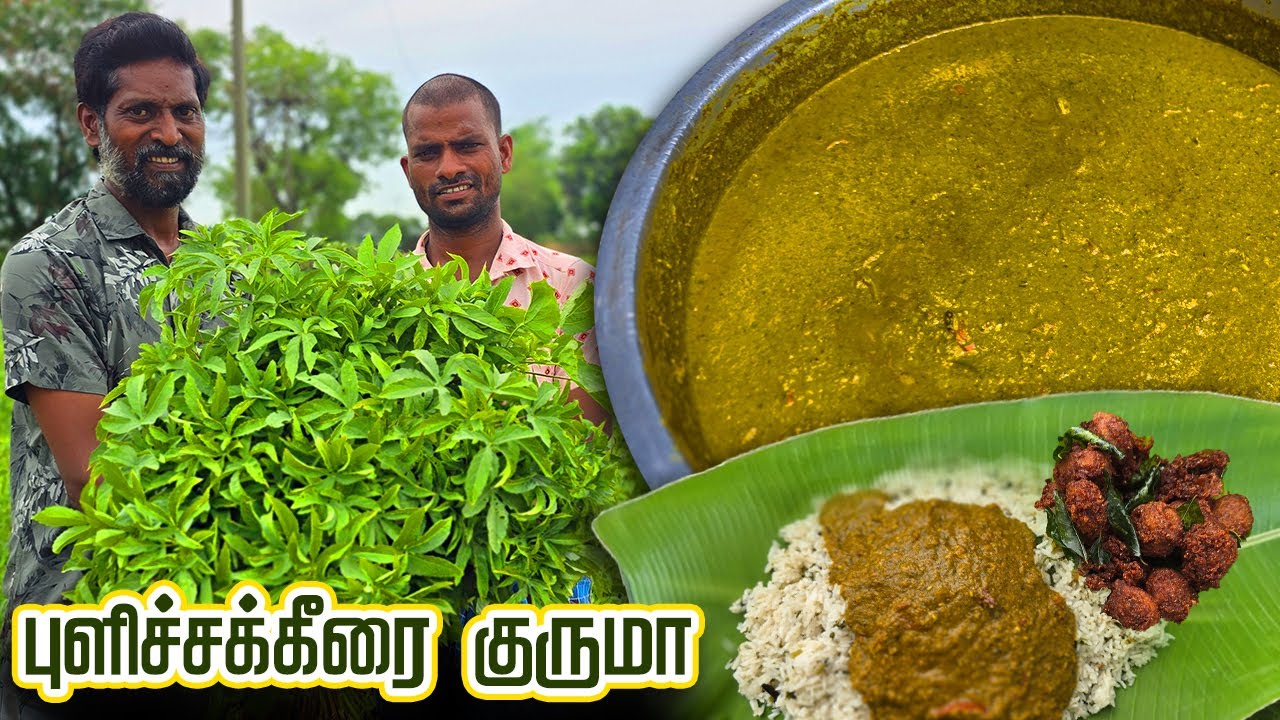 புளிச்சக்கீரை குருமா செய்வது எப்படி ...? 🤔 ||  Pulicha Keerai Kurma Recipe 🤩