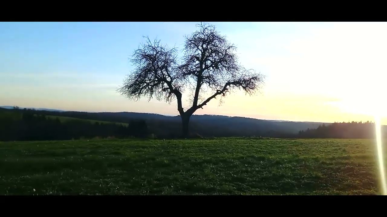 Steven Usinger - Frische Luft (feat. Sam Stanley Fischer) (Official Music Video)