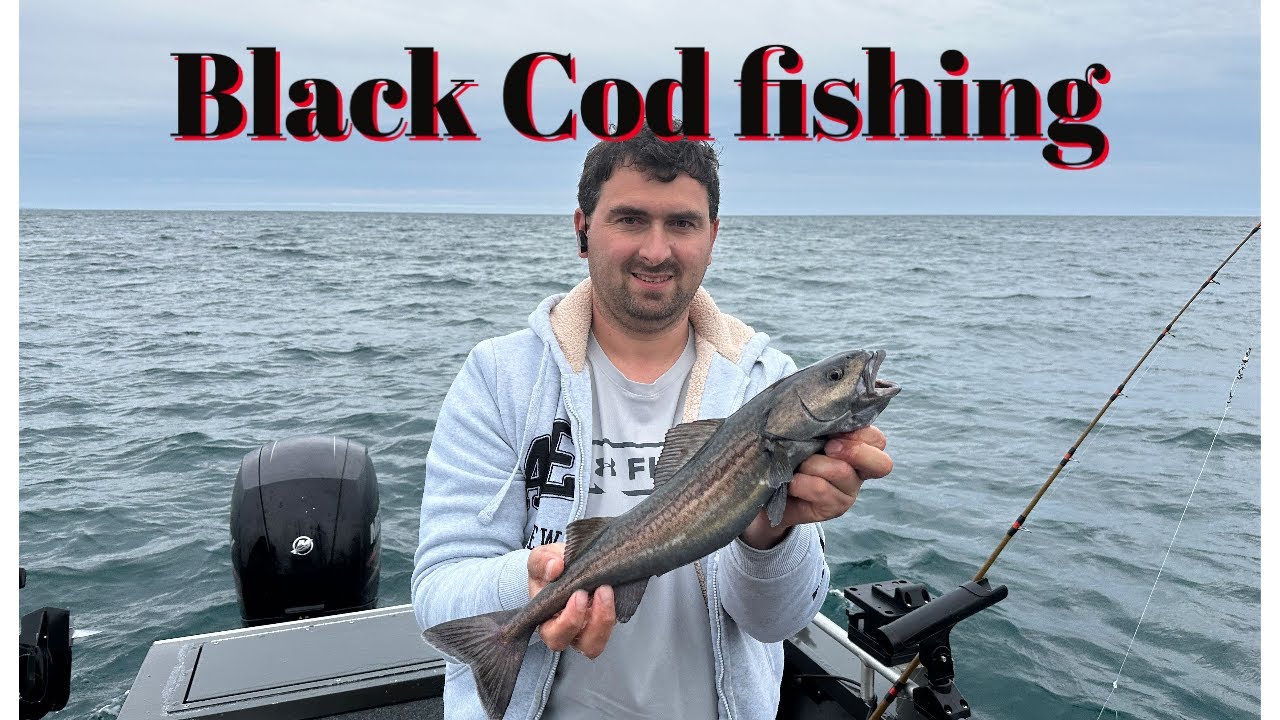 California Black Cod fishing 1500 ' Its Delicious