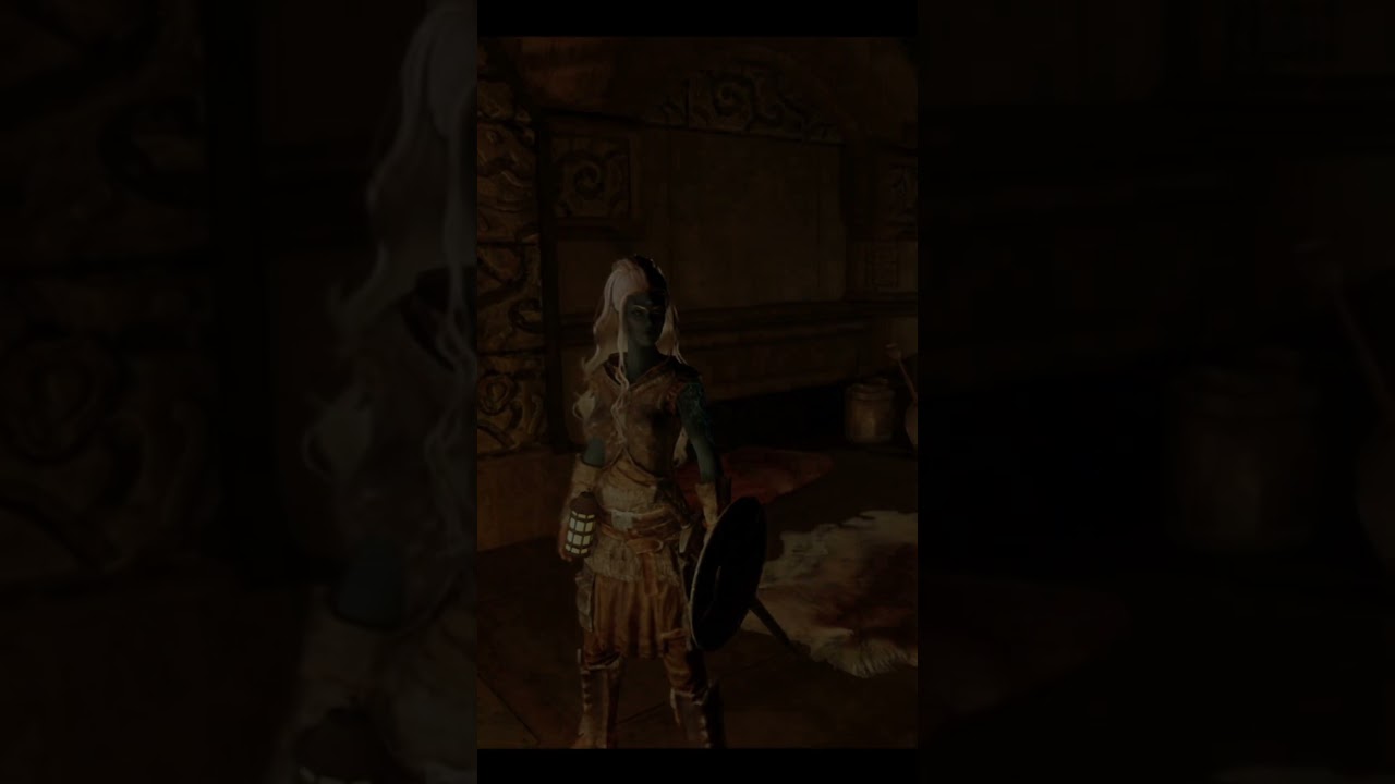 Skyrim dont vous &ecirc;tes le h&eacute;ros - Arkia #2 #letsplay #narratif #skyrim