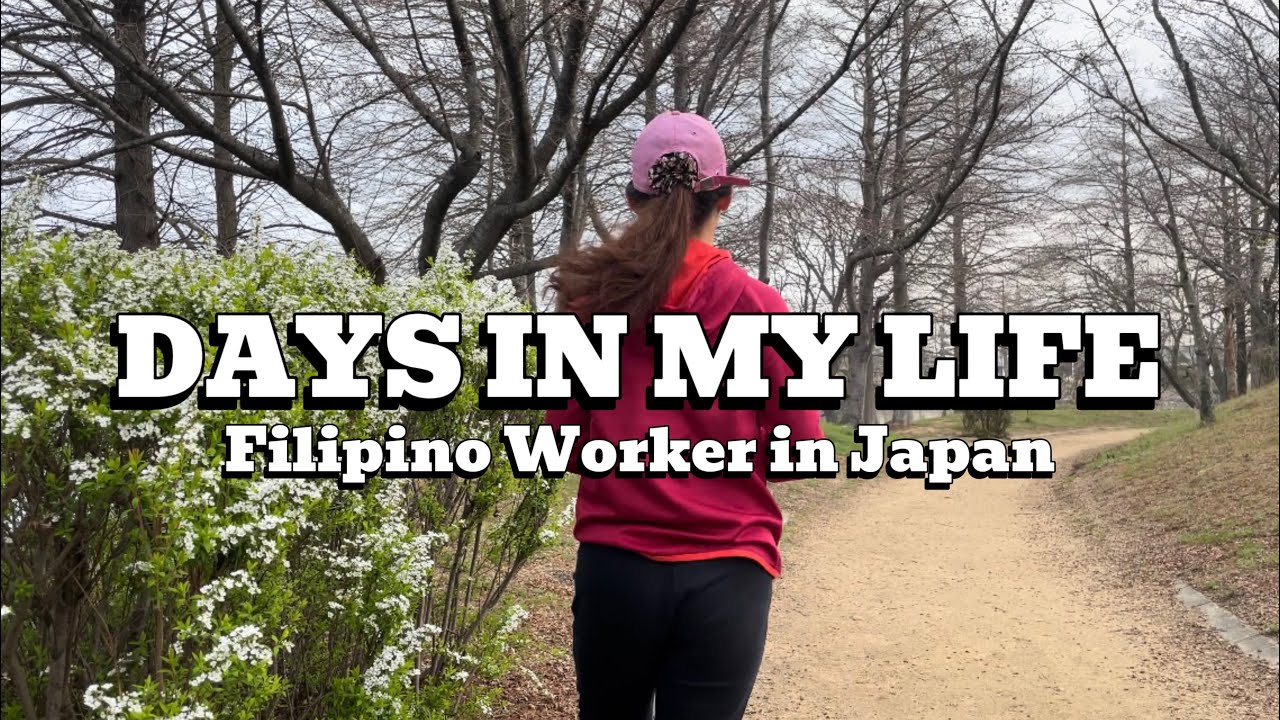 Living Alone in Japan | Days in my Life | Morning walk, Eat with me, Cherry blossoms Hanami